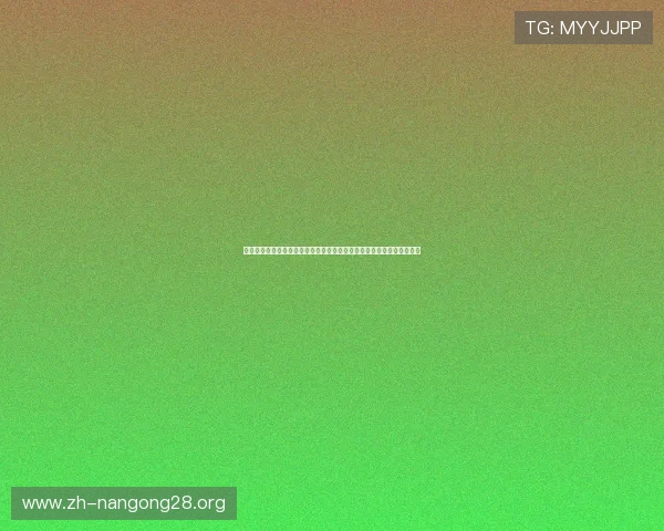 南宫壹号电子娱乐场所的安全支付方式和隐私保护措施保障玩家资金安全