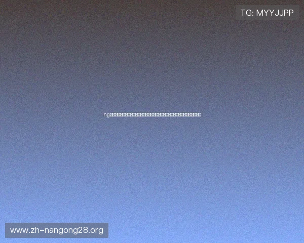 ng体育官网入口登录：最新世界杯战况分析与赛后点评，助你全面了解比赛背后故事